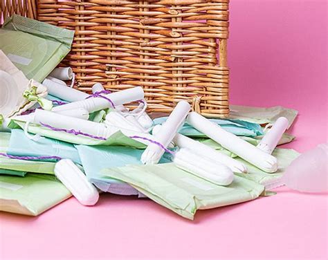 Sanitary Products: Enhancing Your Pet's Quality of Life
